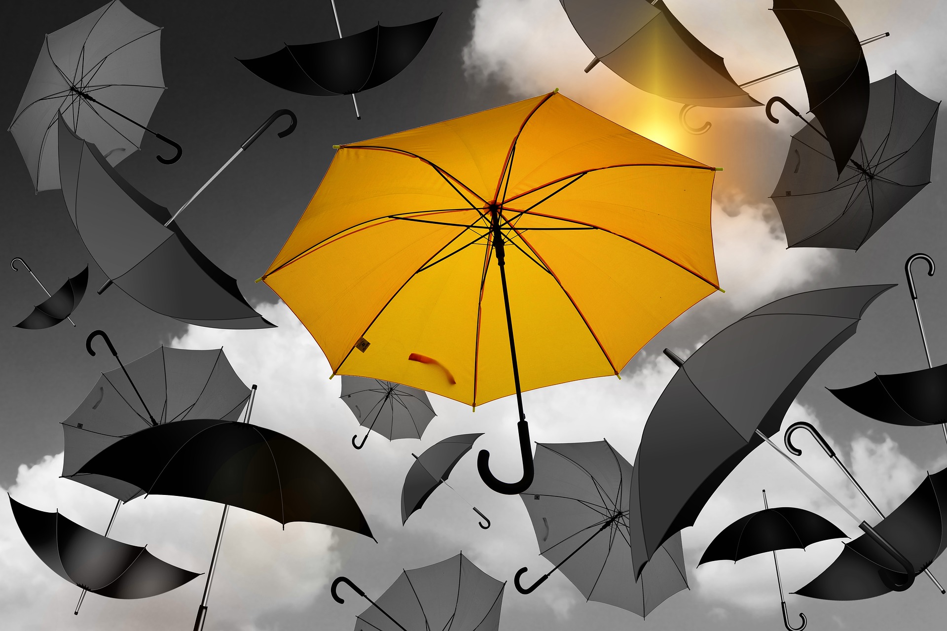 Custom Website: Benefits and Costs